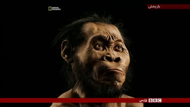 کشف فسیلهای انسانهای نخستین