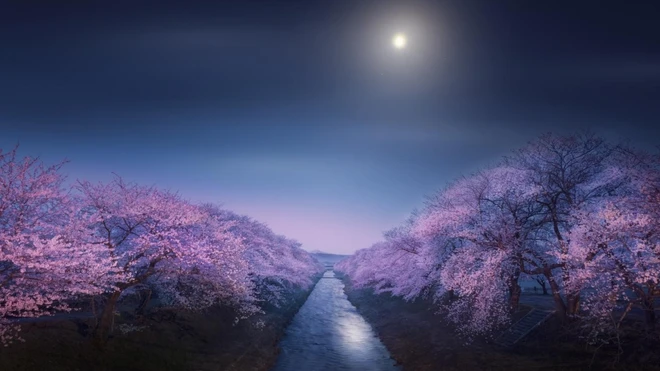 Очень японский пейзаж, не находите?