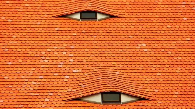 A slated roof with two windows looking like eyes