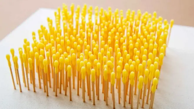 알렉산더 레벤의 '여왕벌의 마지막 안식처'