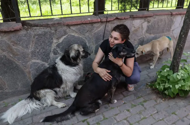 köpekler ve onlara sarılan bir kadın