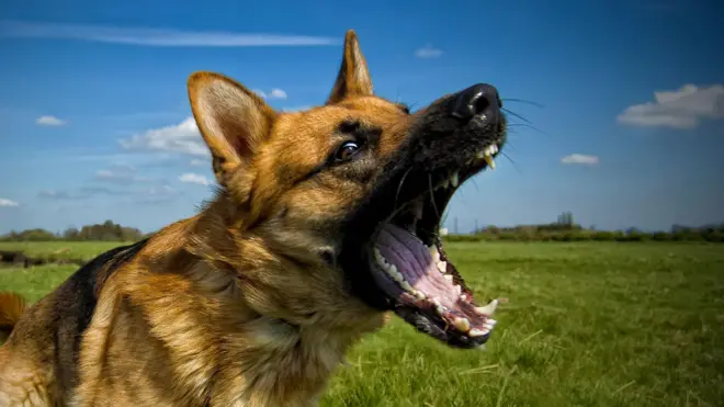 વિશ્વભરમાં ચિંતા તથા ચર્ચાનો વિષય બન્યાં છે.