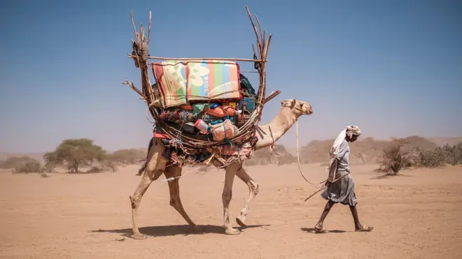A camel walking through a sandy desert with blue skies and dried vegitation in the background, loaded with goods and being led by a man who is looking at the ground.