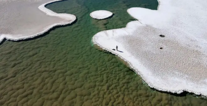 Estromatólitos no fundoaposta de 1 real cassinouma lagoa na Punaaposta de 1 real cassinoAtacama, na Argentina