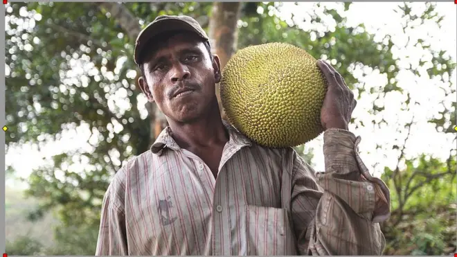 ਸ਼੍ਰੀਲੰਕਾ