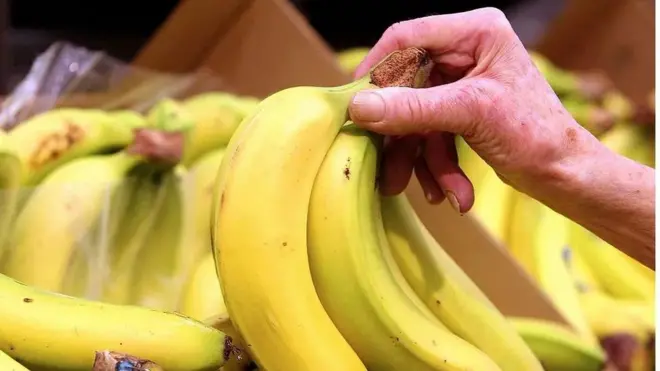 Cachoroletinha ganha dinheirobanana madura