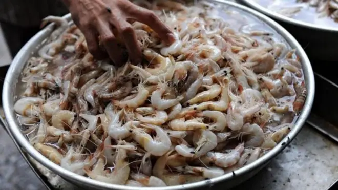 రొయ్యల ఎగుమతులు 