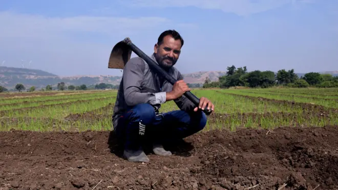 प्रातिनिधिक फोटो