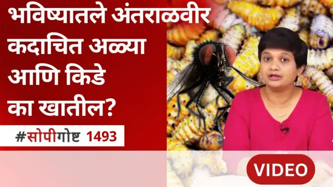 सोपी गोष्ट : अंतराळवीरांच्या मेन्यूमध्ये भविष्यात अळ्या आणि किडे असणार?