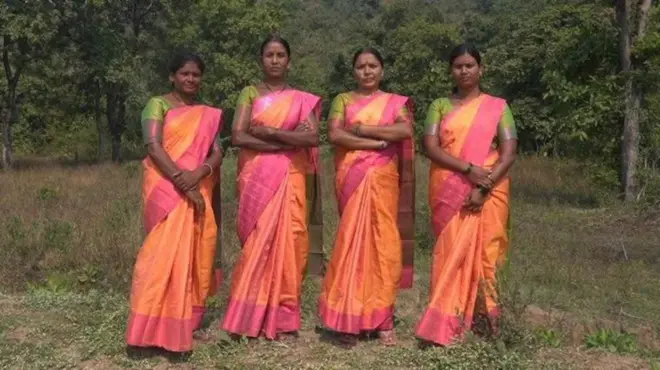 పులులు, పిల్లలు, రక్షణ కవచం, నలుగురు తల్లులు