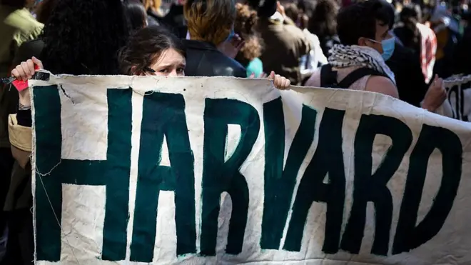 Студентка на протесте держит растяжку с надписью Harvard.