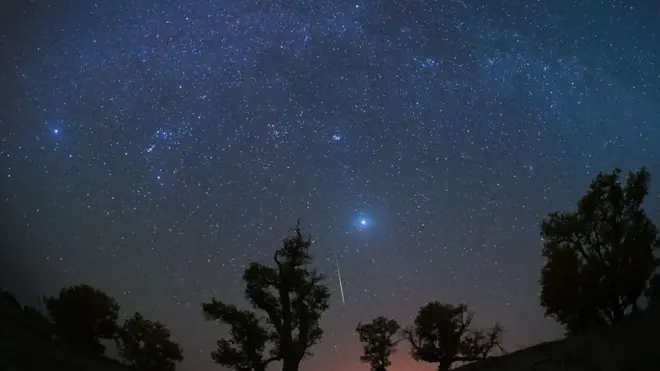 A meteor streaks across the night sky over a desert during an Orionid meteor shower on 22 October 2023. There are the silhouettes of trees along the bottom of the photo.
