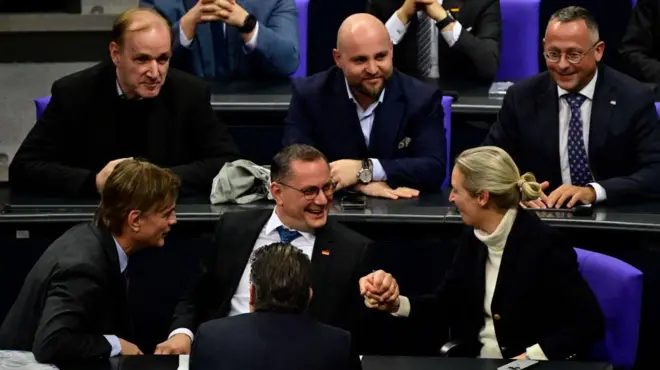 اعضای حزب راست افراطی «آلترناتیو برای آلمان»