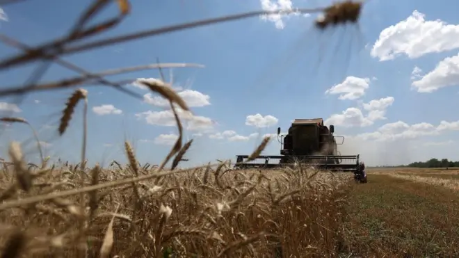 Уборка урожая