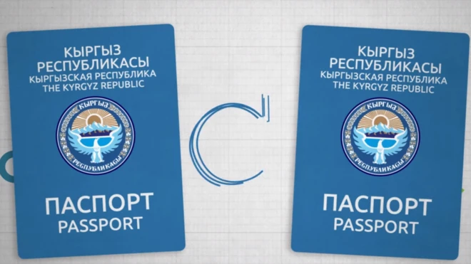 2012-жылдан тартып УКМК тарабынан паспортко байланыштуу 150 кылмыш иши козголгон