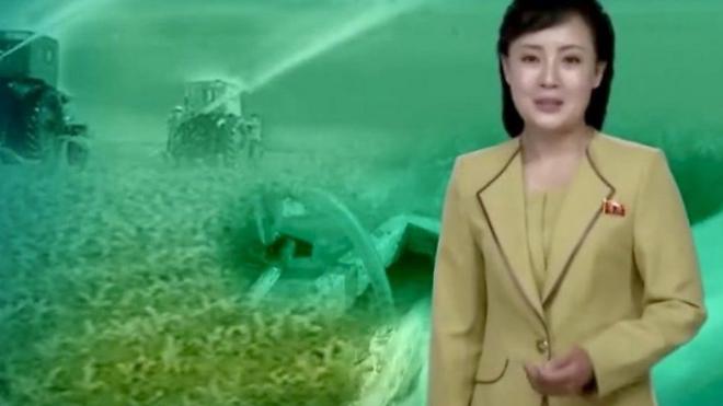 朝鮮央視旱災特別報道內的女主播
