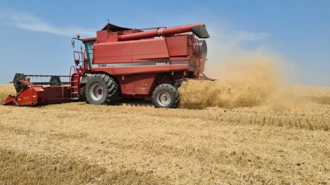 Prvi korak u konzervacijskom sistemu je dobro usitnjavanje i ravnomerno razbacivanje žetvenih ostataka, kaže Pavel Brezina