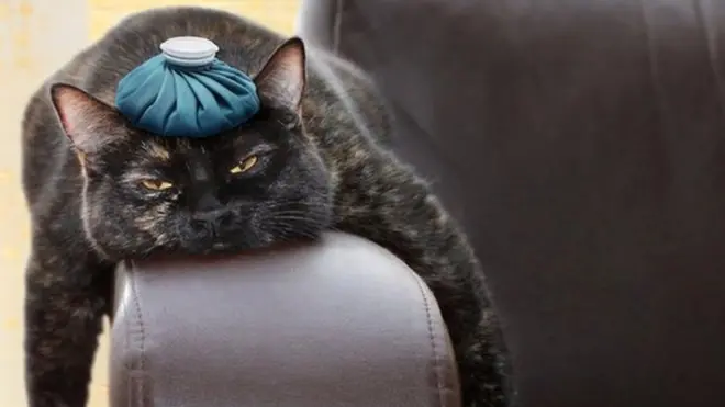 Состояние, хорошо знакомое подавляющему большинству населения. Жизнь, в общем-то, не мила...