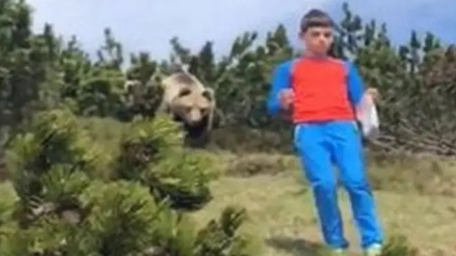 دب ضخم يتبع صبيا بين الجبال