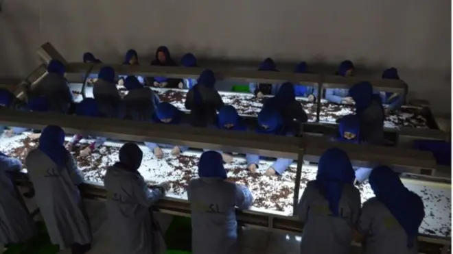 صادرات افغانستان سالانه حدود چهارصد میلیون دلار است