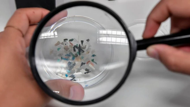 माइक्रोप्लास्टीक