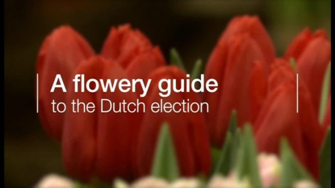 オランダ連立政権が崩壊、内閣総辞職へ 移民政策めぐる相違埋められず BBCニュース