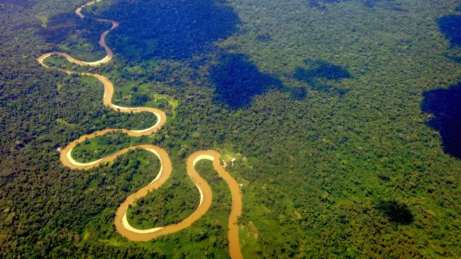 Las llamadas Cuencas Sagradas del Amazonas son consideradas la región más biodiversa del mundo.