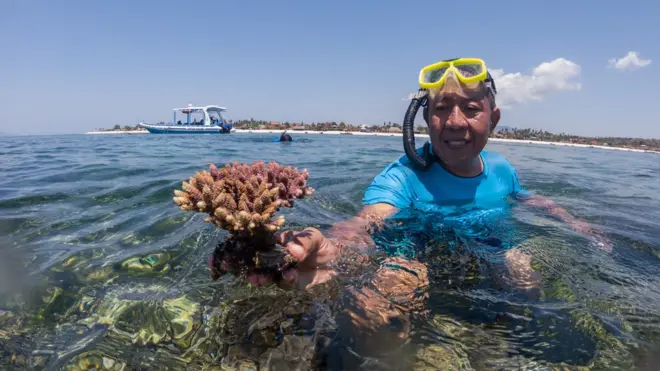 Agus Joko Supriyatno farmed sustainable coral until exports were banned