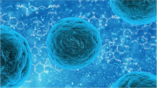 Um século atrás, alguns poucos estudos descobriram uma ligação entre alimentação e saúde mental. Agora, evidências mostram que bactérias que carregamos dentroslot da sorte betnós podem influenciar como nos sentimos