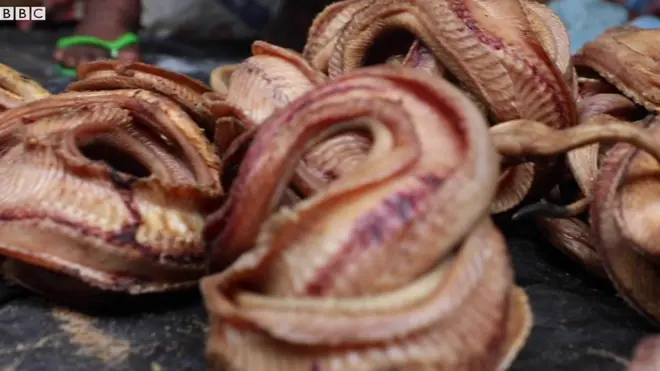 Ọja ẹran Ejo ní ìlú Badagry