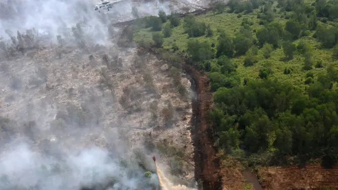 'Indeks Standar Pencemar Udara (ISPU), yang terpampang di Stasiun Pemantau Kualitas Udara (SPKU) kota Palangka Raya pun, pernah menunjukkan tingkat Partikulat (PM10) 650'