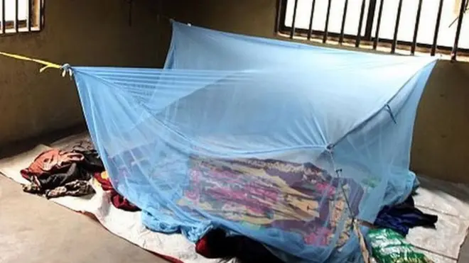 Ịrahụ n'ime akwa mgbochi anwụnta bụ ụzọ kachasị mma igbochi ọrịa ịba