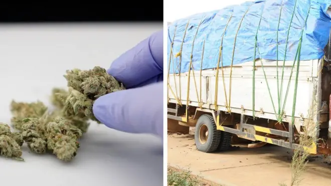 Kanabisii gumuruka Itoophiyaan to'atame