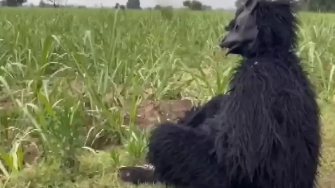 मजबूर किसान