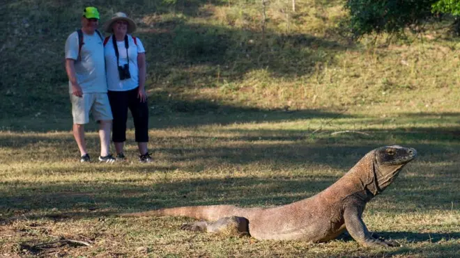 Dua orang turis dari manca negara memperhatikan seekor komodo di Pulau Rinca, yang merupakan bagian Taman Nasional Komodo di NTT, 30 Mei 2019.