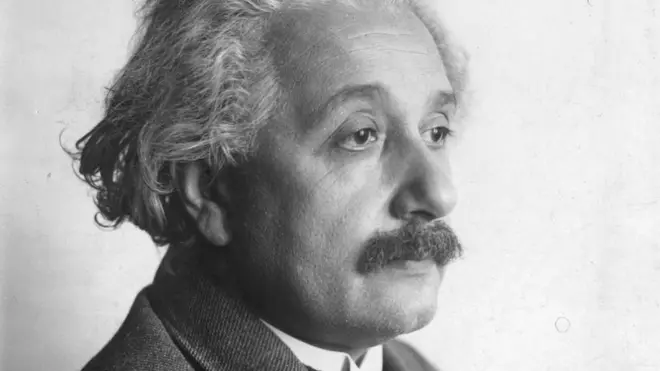 물리학자 알버트 아인슈타인