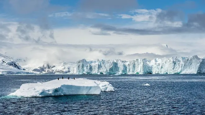 Антарктика