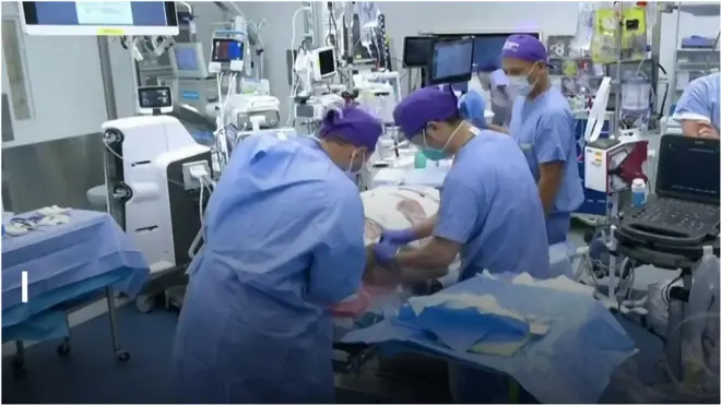 Hand and Face Transplant