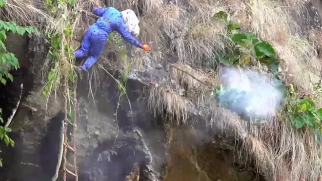 ملیے ہمالیہ کے جنگلوں میں شہد کی تلاش کرتے نیپالی باشندوں سے جو چٹانوں سے لٹکے شہد کی مکھیوں کے چھتوں تک پہنچنے کے لیے جان داؤ پر لگا دیتے ہیں۔