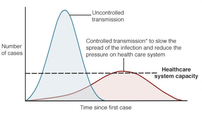 Graph showing the two different epidemic curves