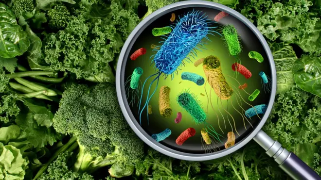 La listeria se encuentra en un amplio grupo de alimentos, entre ellos, los vegetales.
