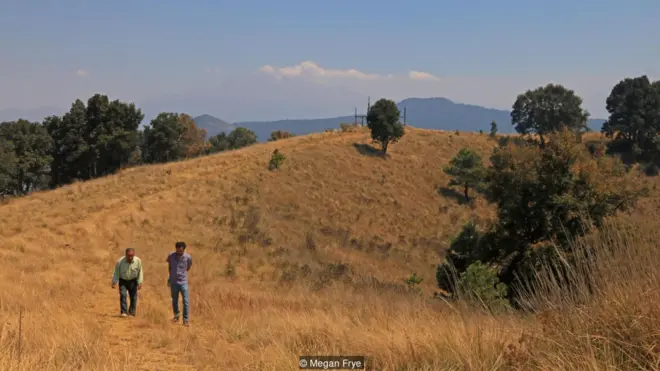 Metade do territórioMilpa Alta é coberto por florestas | Crédito: Megan Frye