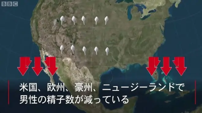 男性の精子の数、欧米で40年の間に半減