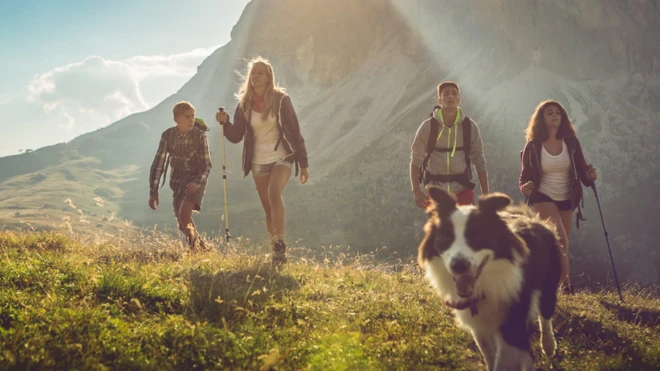 หมานำคนเดินเขา