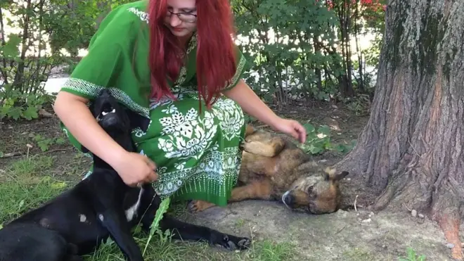 Banka hrane za kućne ljubimce