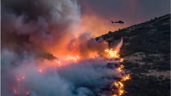 Лісові пожежі