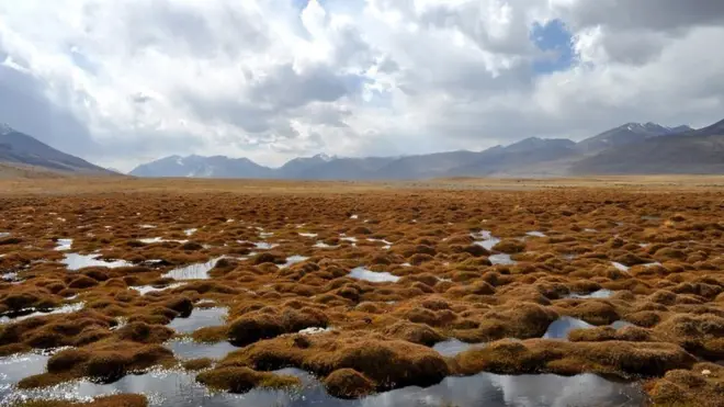 دا ښکلی طبیعت چې د پامیر له لوړو سرچینه اخلي