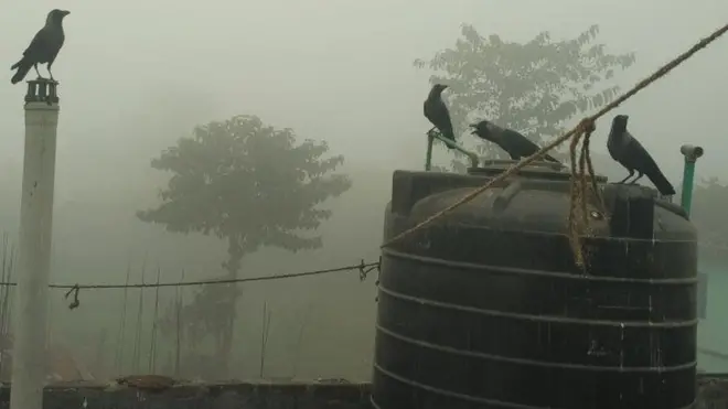 काग