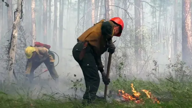 лесной пожар