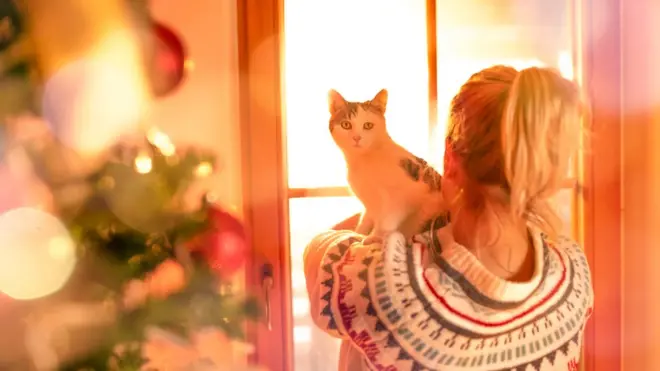 Девушка с котом